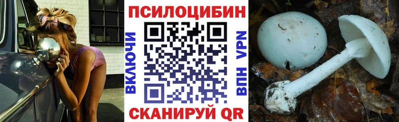 Псилоцибиновые грибы мицелий  darknet наркотические препараты  Яровое  hydra ТОР 